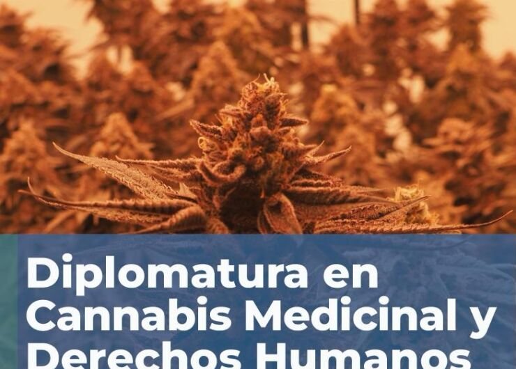 DIPLOMATURA EN CANNABIS MEDICINAL Y DERECHOS HUMANOS – ONLINE